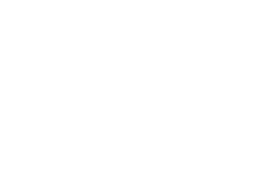 White Eagle Home Improvement logo